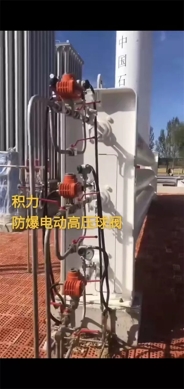 案例—中石化某分公司管道