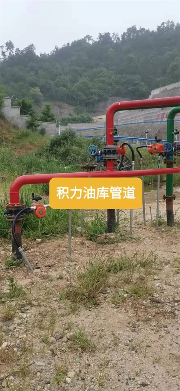 案例—湖北某中石油分公司管道